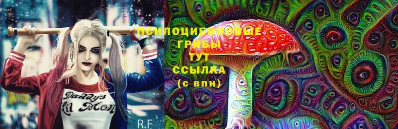 Галлюциногенные грибы Psilocybe  мега как зайти  Тосно 